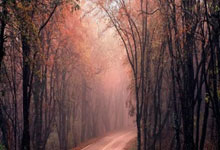 熊猫体育官网：新华社快讯丨荷兰队打破短道速滑混合团体接力世界纪录.