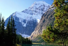 世预赛-阿利森伤退维尼修斯绝杀 巴西2-1哥伦比亚升第2.