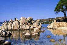 熊猫体育官网：克洛普批世俱杯：比赛太多了，让本就疲惫的球员更加不堪重负环球时报.